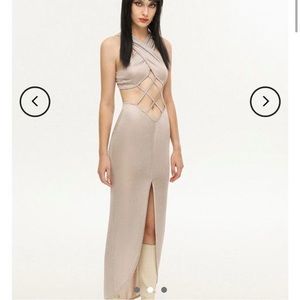 Halloween costume/gold dress/Cher/Athena